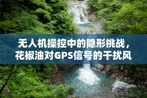 无人机操控中的隐形挑战，花椒油对GPS信号的干扰风险