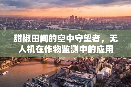 甜椒田间的空中守望者，无人机在作物监测中的应用