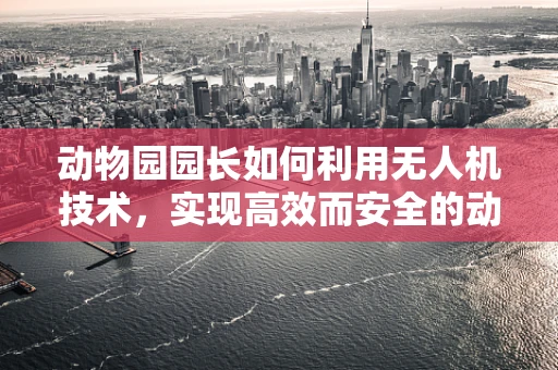 动物园园长如何利用无人机技术，实现高效而安全的动物监控？