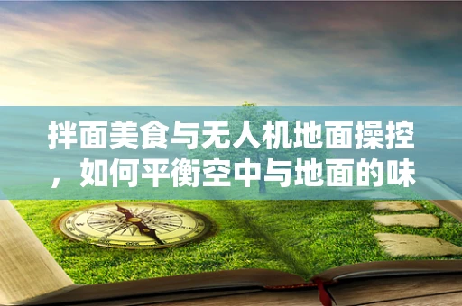 拌面美食与无人机地面操控，如何平衡空中与地面的味觉享受？