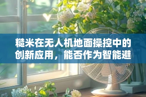 糙米在无人机地面操控中的创新应用，能否作为智能避障的‘天然雷达’？