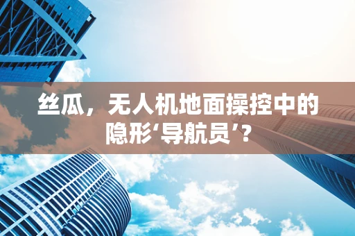 丝瓜，无人机地面操控中的隐形‘导航员’？