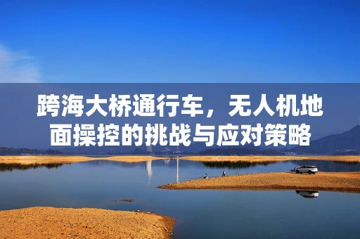 跨海大桥通行车，无人机地面操控的挑战与应对策略