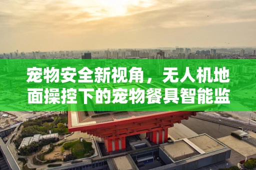 宠物安全新视角，无人机地面操控下的宠物餐具智能监控