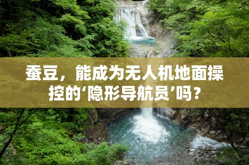 蚕豆，能成为无人机地面操控的‘隐形导航员’吗？