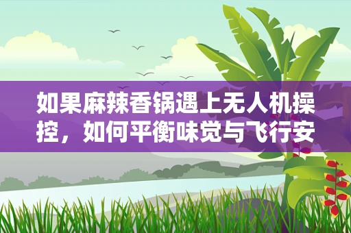 如果麻辣香锅遇上无人机操控，如何平衡味觉与飞行安全？
