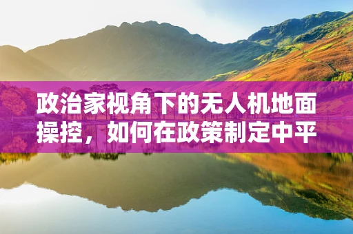 政治家视角下的无人机地面操控，如何在政策制定中平衡安全与自由？