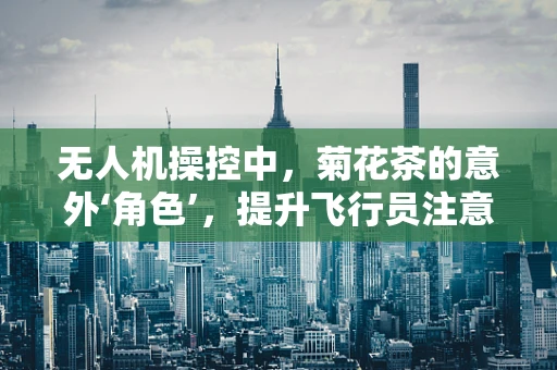 无人机操控中，菊花茶的意外‘角色’，提升飞行员注意力与情绪的秘密武器？