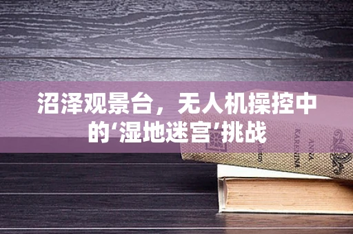 沼泽观景台，无人机操控中的‘湿地迷宫’挑战