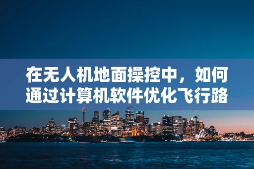 在无人机地面操控中，如何通过计算机软件优化飞行路径规划？