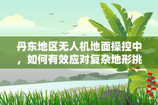 丹东地区无人机地面操控中，如何有效应对复杂地形挑战？
