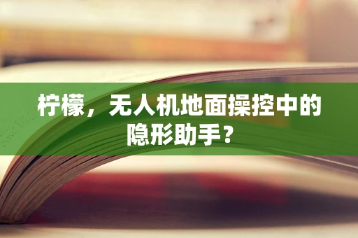 柠檬，无人机地面操控中的隐形助手？