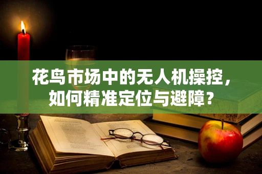 花鸟市场中的无人机操控，如何精准定位与避障？