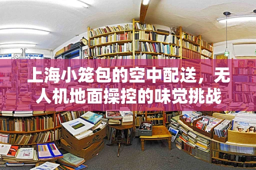 上海小笼包的空中配送，无人机地面操控的味觉挑战