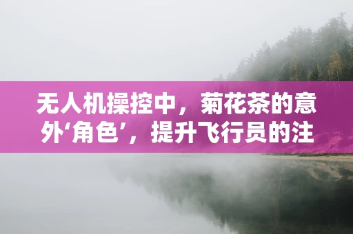 无人机操控中，菊花茶的意外‘角色’，提升飞行员的注意力与情绪管理