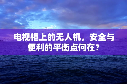 电视柜上的无人机，安全与便利的平衡点何在？