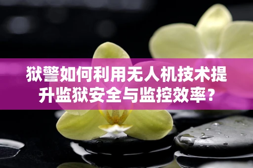 狱警如何利用无人机技术提升监狱安全与监控效率？