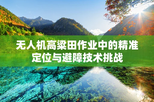 无人机高粱田作业中的精准定位与避障技术挑战