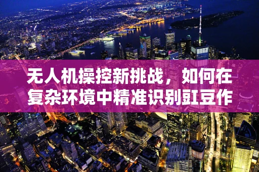 无人机操控新挑战，如何在复杂环境中精准识别豇豆作物？