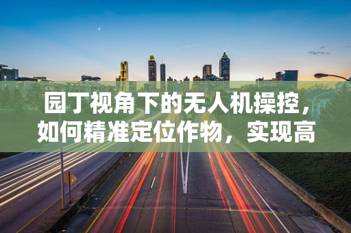 园丁视角下的无人机操控，如何精准定位作物，实现高效灌溉？