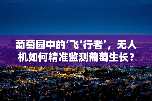 葡萄园中的‘飞’行者’，无人机如何精准监测葡萄生长？