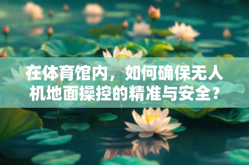 在体育馆内，如何确保无人机地面操控的精准与安全？