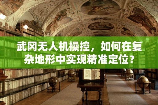 武冈无人机操控，如何在复杂地形中实现精准定位？