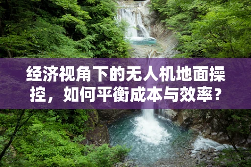 经济视角下的无人机地面操控，如何平衡成本与效率？