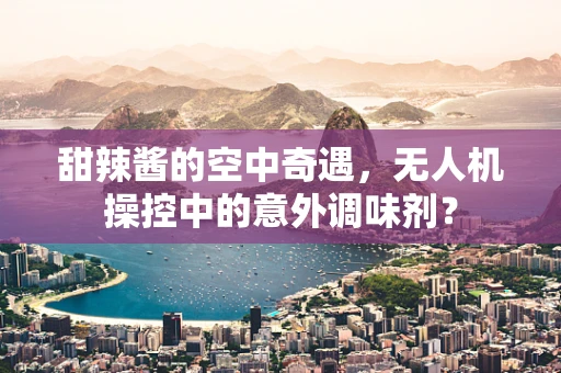 甜辣酱的空中奇遇，无人机操控中的意外调味剂？