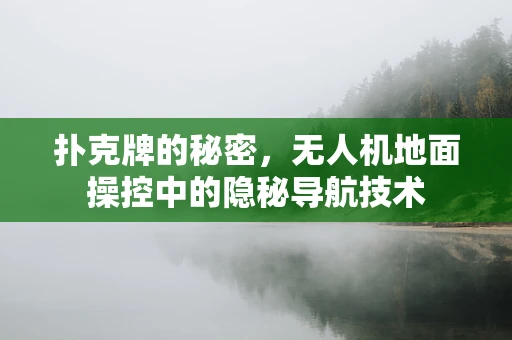 扑克牌的秘密，无人机地面操控中的隐秘导航技术