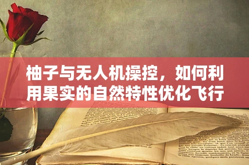 柚子与无人机操控，如何利用果实的自然特性优化飞行稳定性？