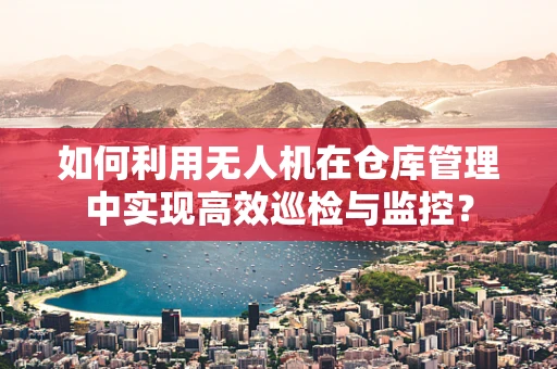 如何利用无人机在仓库管理中实现高效巡检与监控？