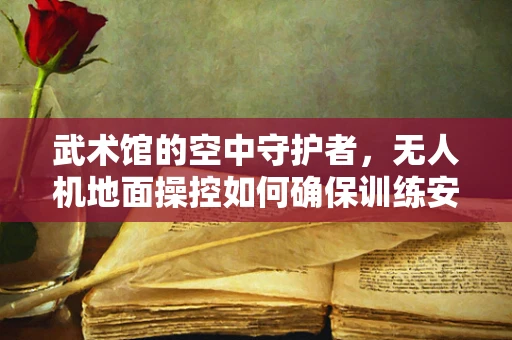 武术馆的空中守护者，无人机地面操控如何确保训练安全？