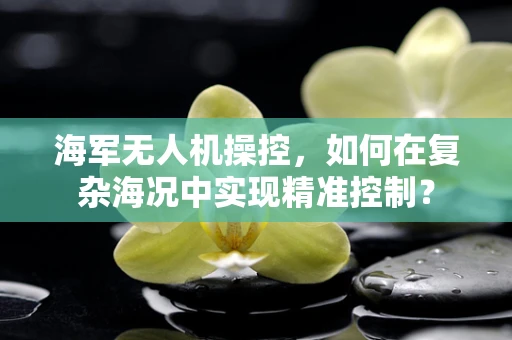 海军无人机操控，如何在复杂海况中实现精准控制？