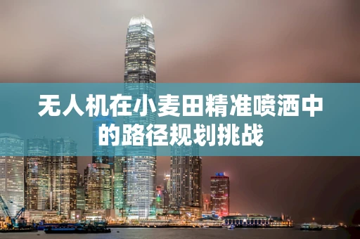 无人机在小麦田精准喷洒中的路径规划挑战
