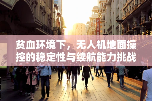 贫血环境下，无人机地面操控的稳定性与续航能力挑战