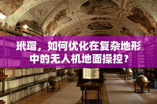 玳瑁，如何优化在复杂地形中的无人机地面操控？