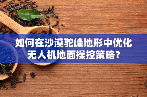 如何在沙漠驼峰地形中优化无人机地面操控策略？