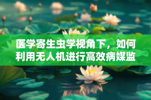 医学寄生虫学视角下，如何利用无人机进行高效病媒监测？