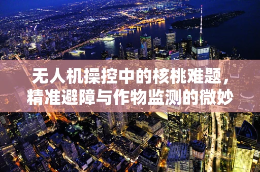 无人机操控中的核桃难题，精准避障与作物监测的微妙平衡