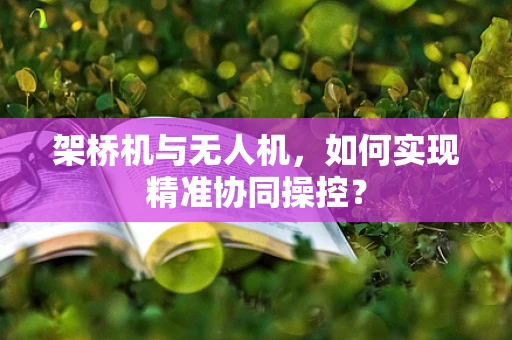 架桥机与无人机，如何实现精准协同操控？
