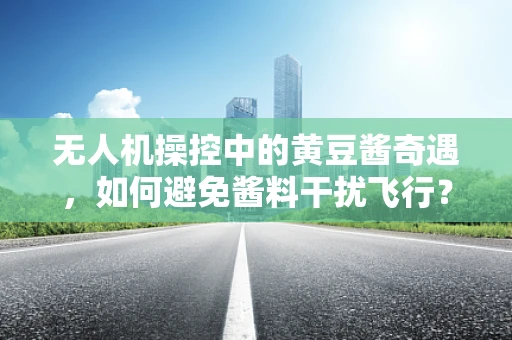 无人机操控中的黄豆酱奇遇，如何避免酱料干扰飞行？