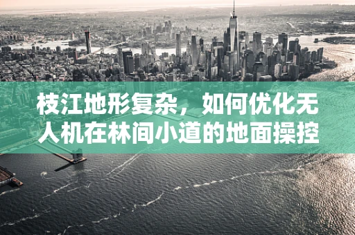 枝江地形复杂，如何优化无人机在林间小道的地面操控策略？