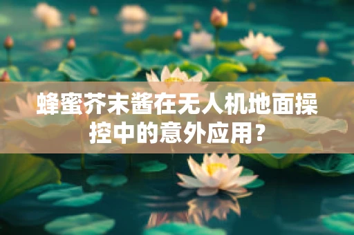 蜂蜜芥末酱在无人机地面操控中的意外应用？
