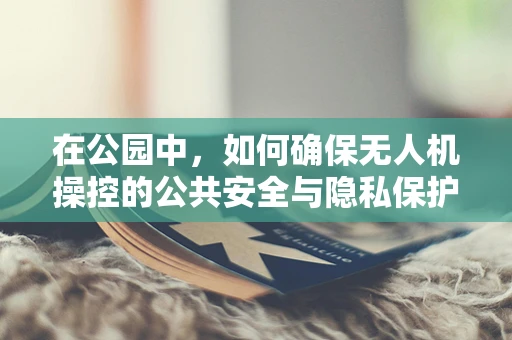 在公园中，如何确保无人机操控的公共安全与隐私保护？