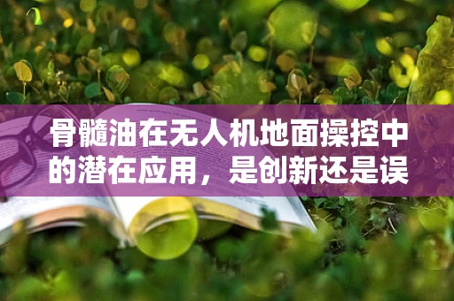 骨髓油在无人机地面操控中的潜在应用，是创新还是误区？
