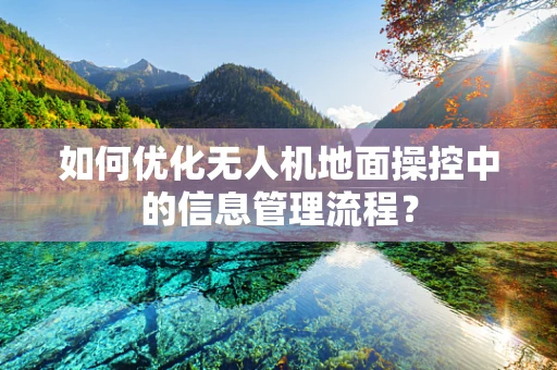 如何优化无人机地面操控中的信息管理流程？