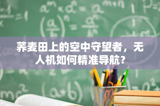 荞麦田上的空中守望者，无人机如何精准导航？