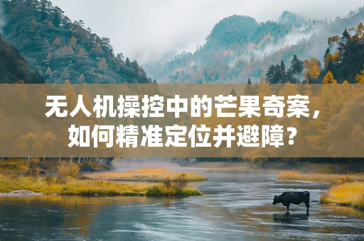 无人机操控中的芒果奇案，如何精准定位并避障？