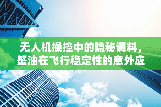 无人机操控中的隐秘调料，蟹油在飞行稳定性的意外应用？